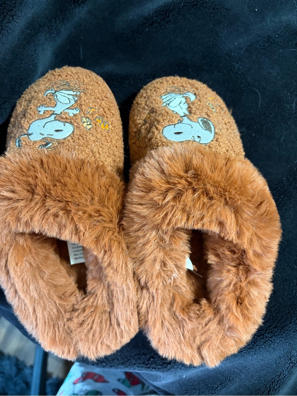 Brown Fuzzy Slippers with Cartoon Character - Brand:American Eagle Outfitters